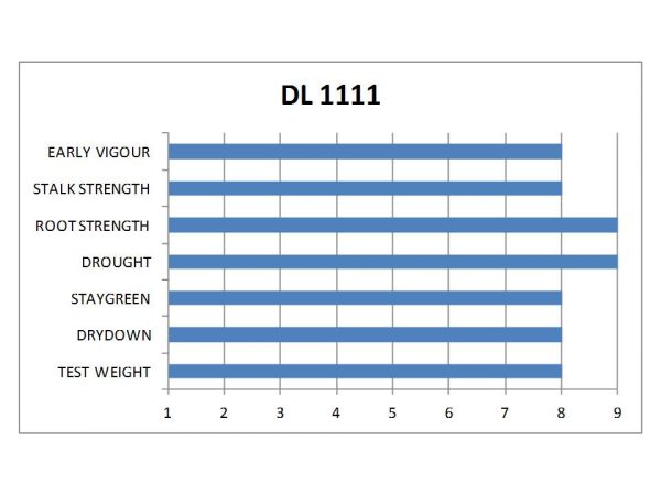 DL 1111 | CHU 2500 | DRM 83 - Image 2