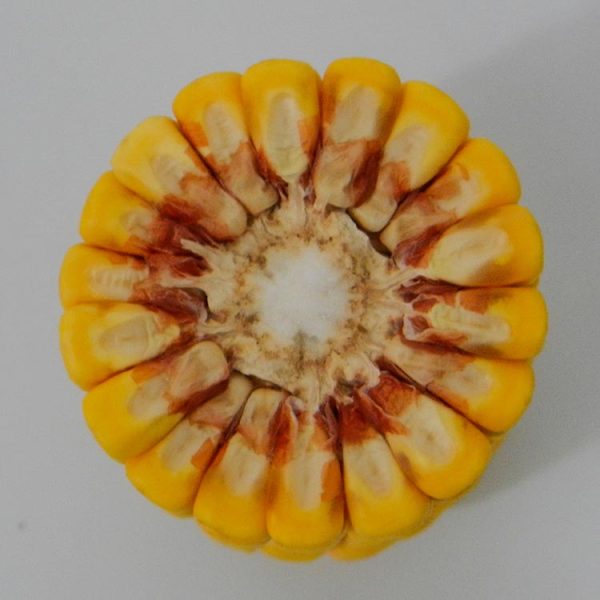 DL 1111 | CHU 2500 | DRM 83 - Image 7
