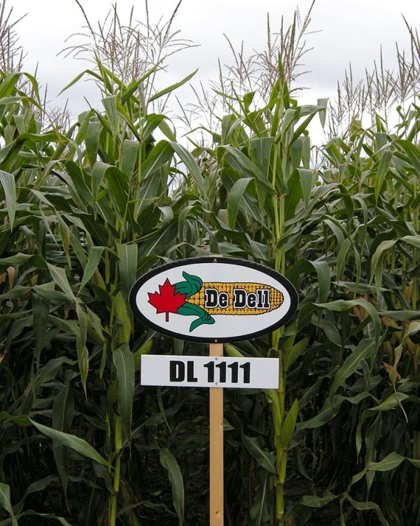 DL 1111 | CHU 2500 | DRM 83