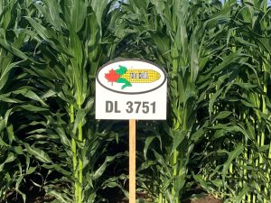 DL 3751 | 2825 CHU | 94 RM