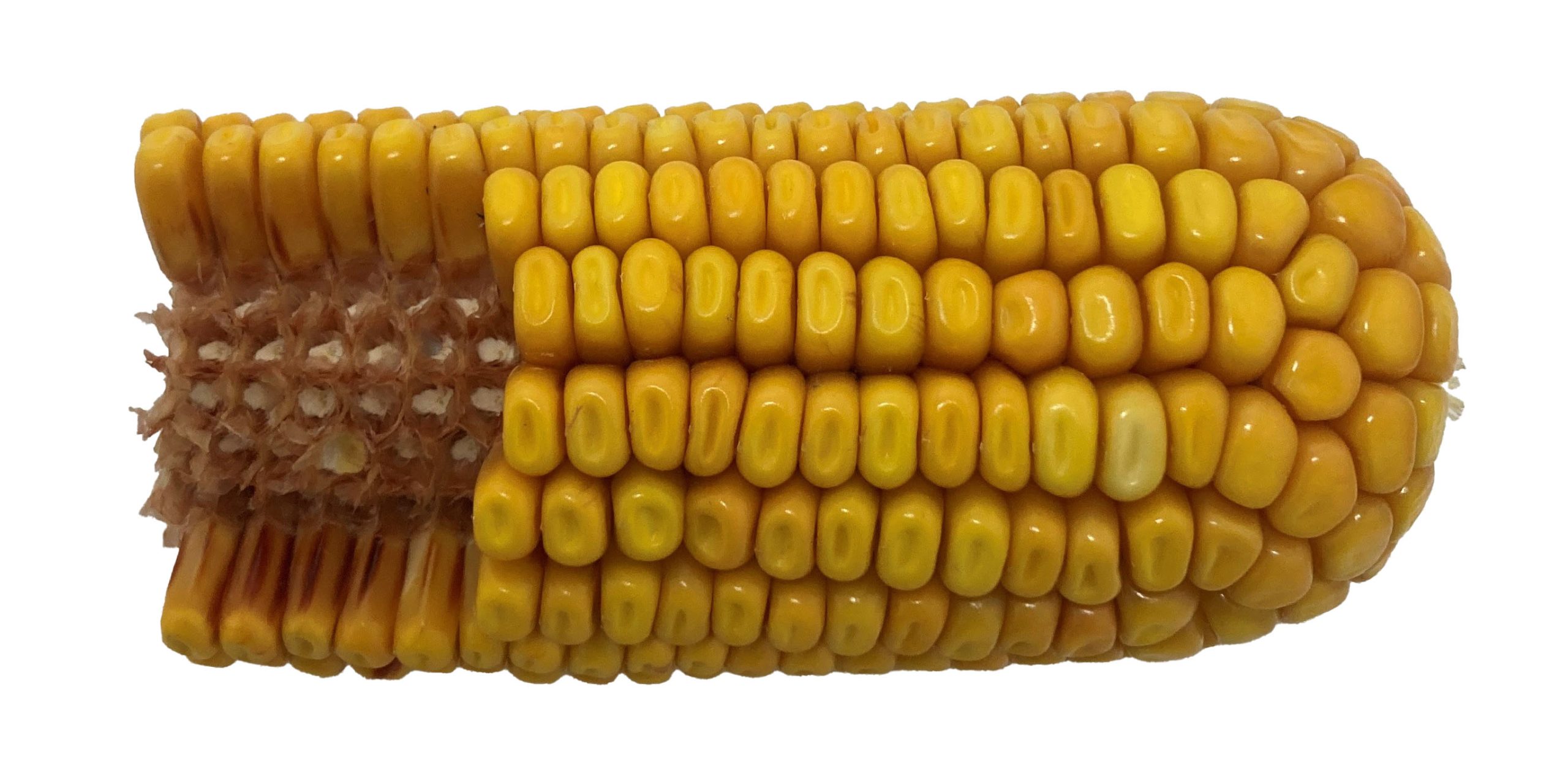 DL 6880 | 3275 CHU | 109 RM - Image 5