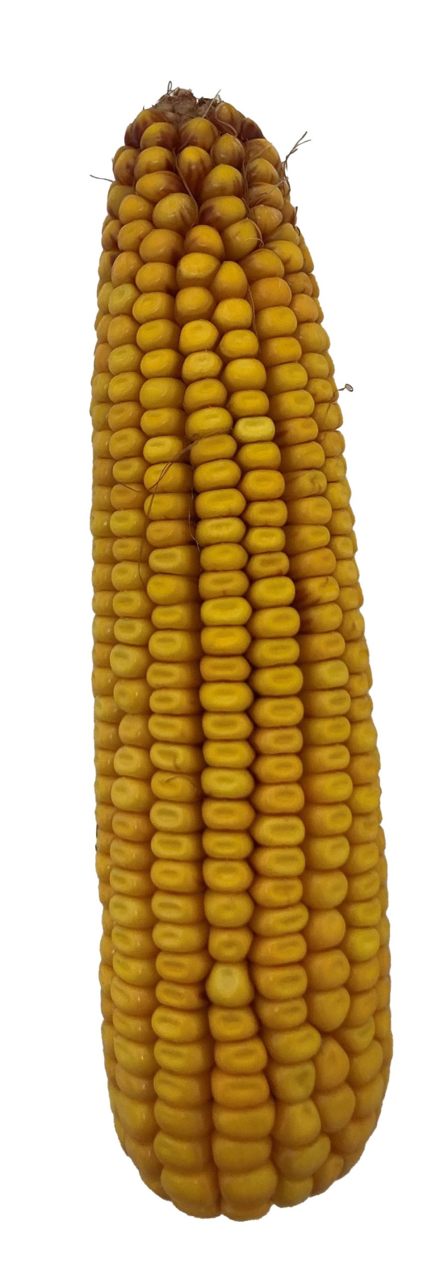 DL 6880 | 3275 CHU | 109 RM - Image 6