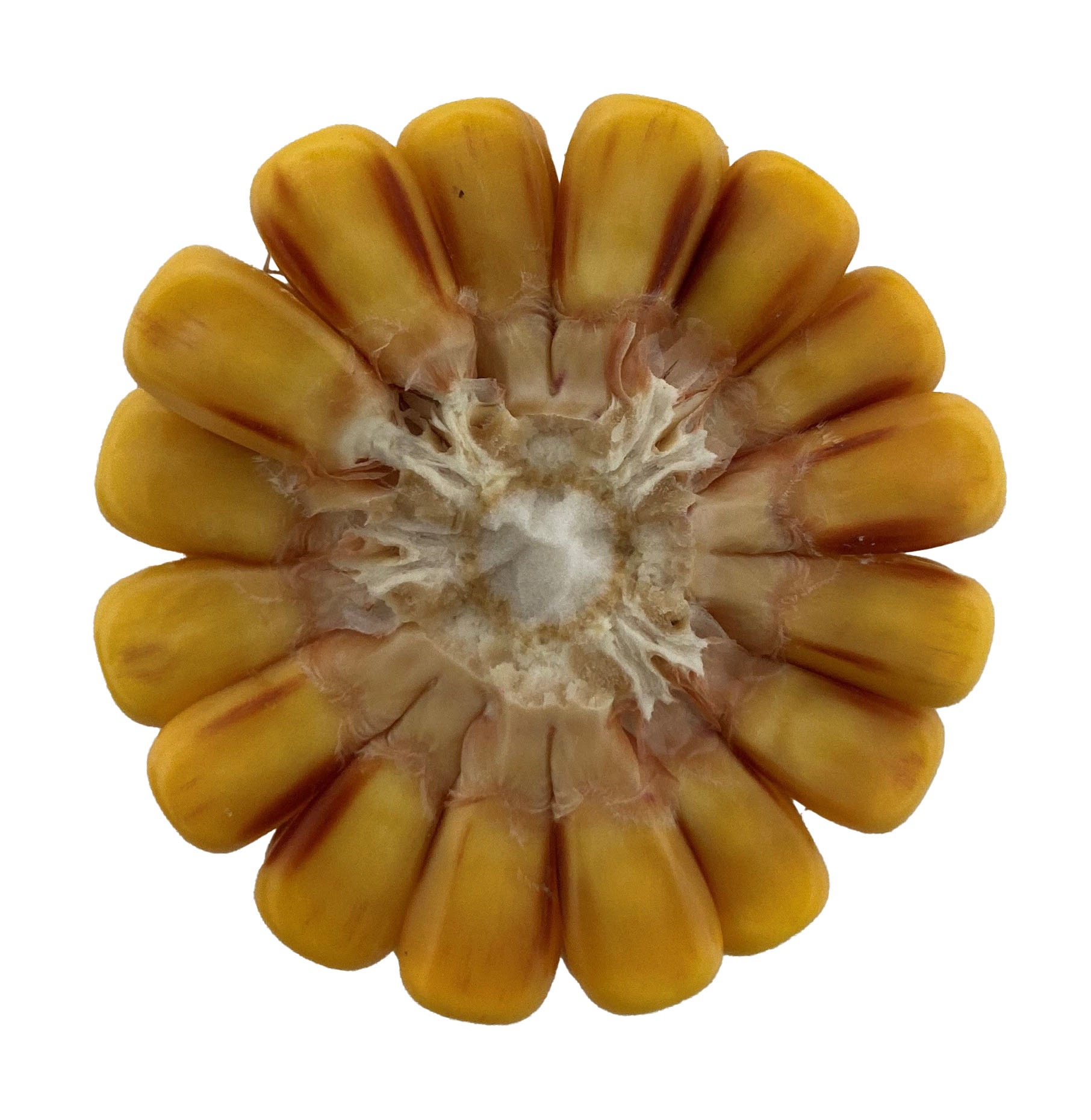 DL 6880 | 3275 CHU | 109 RM - Image 7