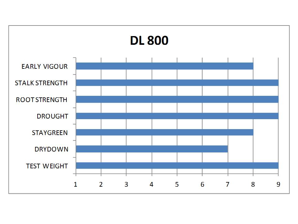 DL 800 | CHU 2325 | RM 77 - Image 2