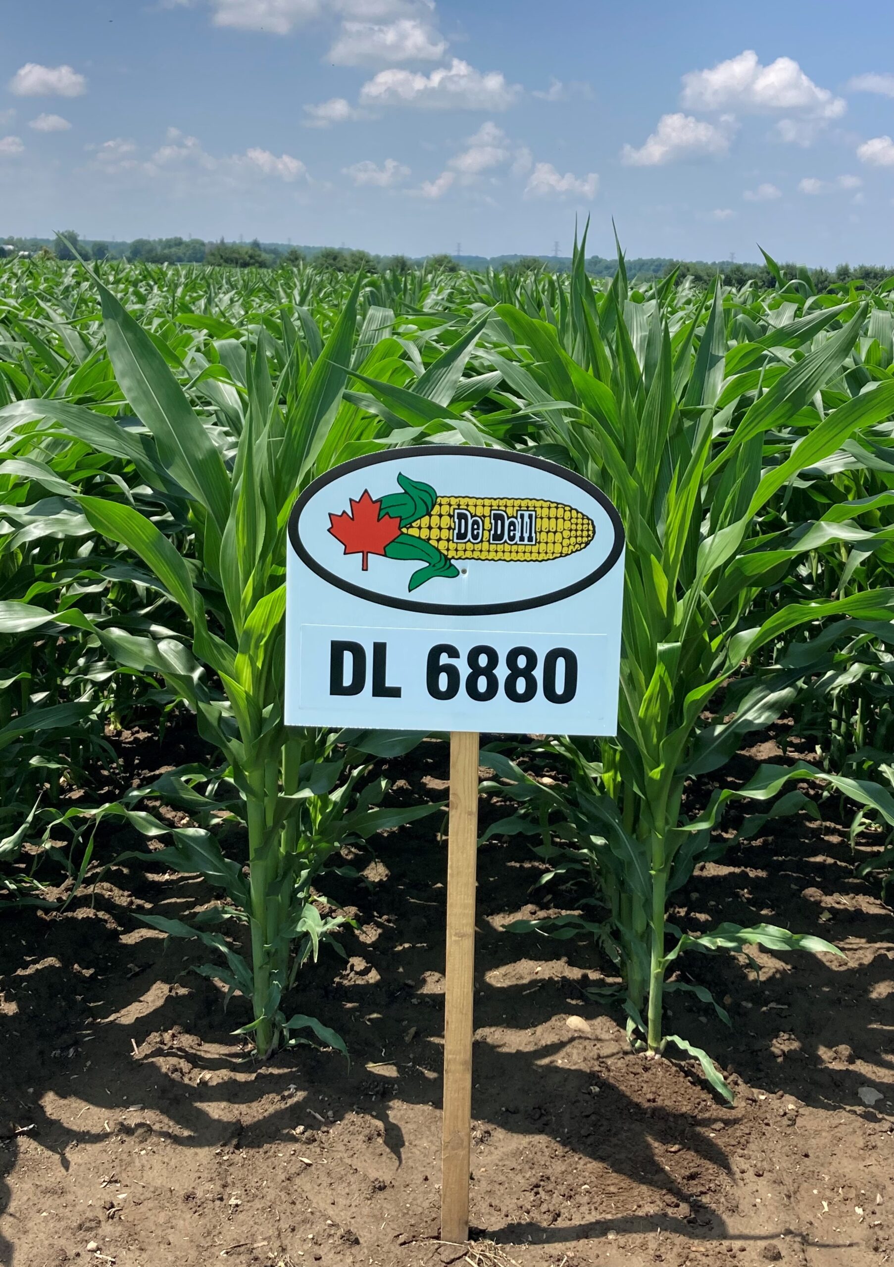 DL 6880 | 3275 CHU | 109 RM