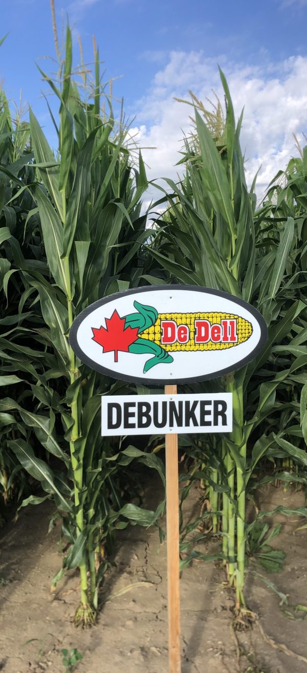 De Bunker | CHU 3100 | RM 103