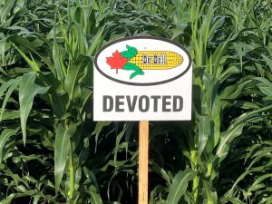 Devoted | 2825 CHU | 94 RM