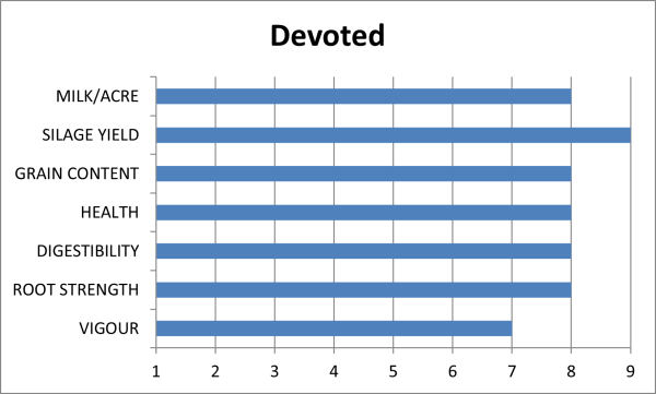 Devoted | 2825 CHU | 94 RM - Image 2