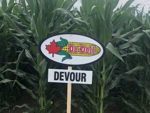 Devour | CHU 2450 | RM 82