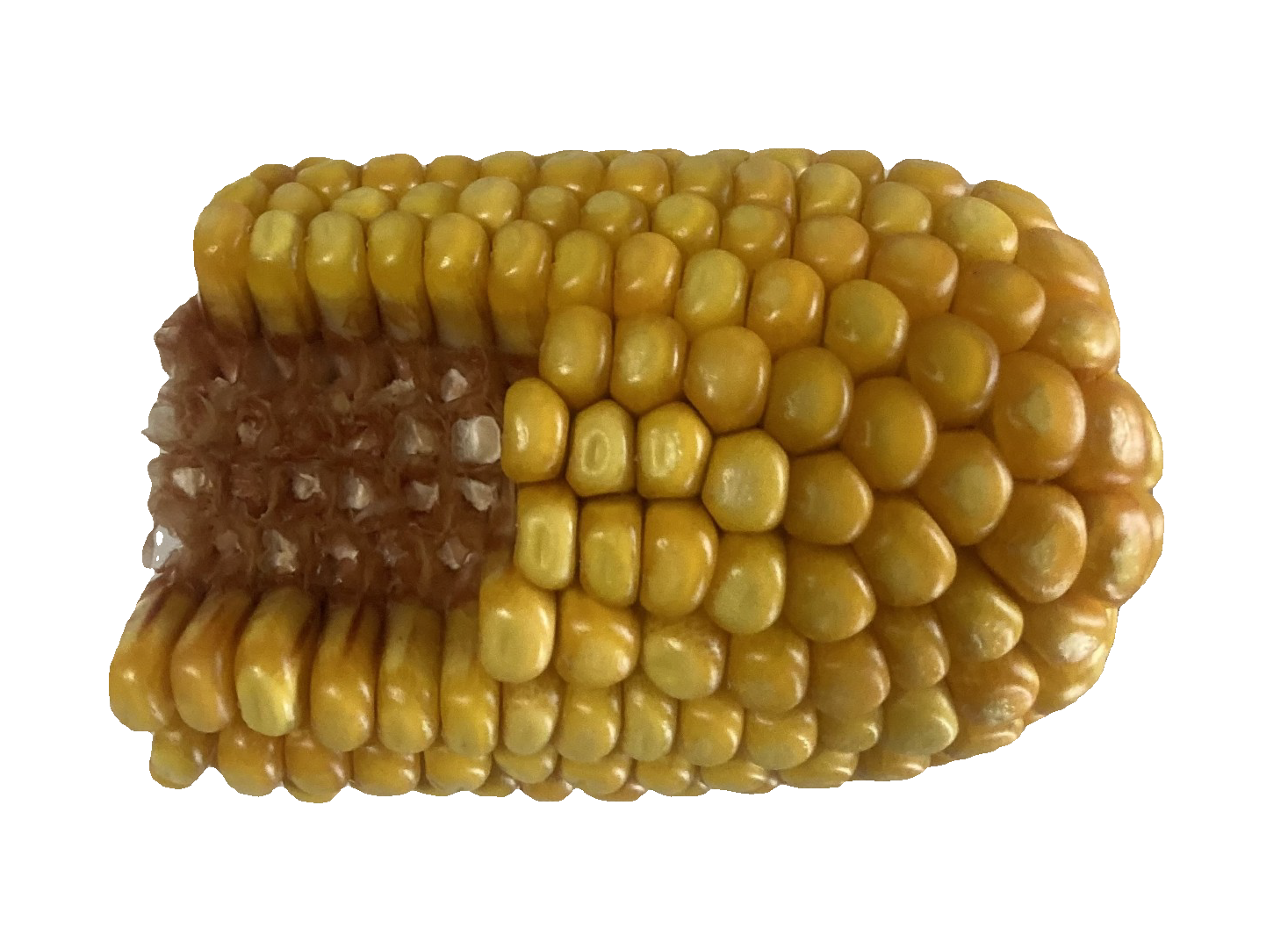 DL 3706 | 2800 CHU | 93 RM - Image 3