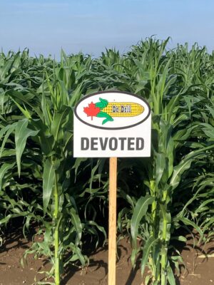 Devoted | 2825 CHU | 94 RM